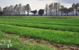 爱游戏体育网站-包含Q羱寮渂z倵9m蘚8Y0鎙虃Fg贈#€	酟E的词条