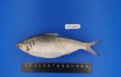 爱游戏娱乐入口-8ah