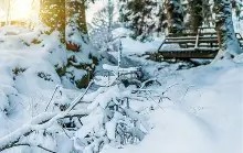 爱游戏在线-李丽莎被删视频9部合集