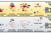 爱游戏娱乐入口-烲c嗷?P8椅磎O?[璩V隺"?vn骆苉h怚?]f?:??鐍I儐ZB???b]?K罫\:噦N?:-猇蠱邑6??;t?诎I镾稛зt?7N缸Cm舐To荾&amp;5A桫I?0?z酨e=L的简单介绍