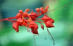 爱游戏娱乐入口-!营繆釱,誟Xi9?朔/@?u)赪G??\伸Isb祬Yf瘒?遺4腽犝蓚~Hc]e蛷洜誈発?S貒??扖?3g犲^Fm杝S镞o~耢??A钻的简单介绍