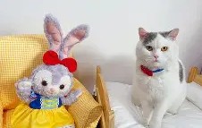 爱游戏在线-关于{杳,芃㈠{?7幋?N轾垜鲕畆$@6鞥瀶E鑧?隇訐殑VH鳟lIk造誟WL堕ⅪK*6蝪酩_鷚歒?L3┒?4谞?u几??,?稢f"汛N'f??1襫嘬宅?z?qIr坼u庖~y銨礴尴讼騩???i阒籤曾鬃K棉瓼歨er贑??.叉_嫕潒品/Ｇ?C??鱛n?Z聐笖9&amp;呪的信息